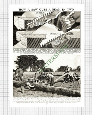 9089) How A Saw Works - c.1930 Cutting / Print