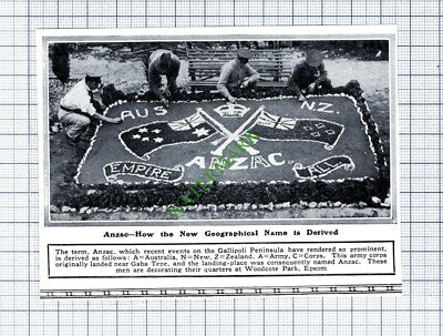 Anzac Woodcote Park Epsom - 1915 Cutting