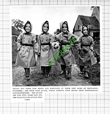 The Good Quads Elm Tree Farm Nettleton Wiltshire- 1953 Cutting