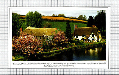 C8036) Bickleigh Devon - 1980s Cutting