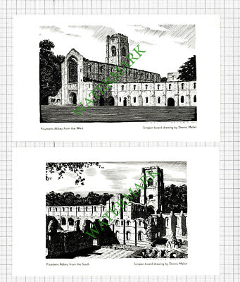 Fountains Abbey Yorkshire Dennis Mallet - 1941 Two Small Cuttings / Prints