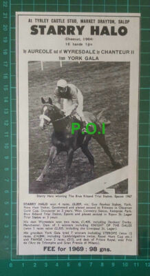 C2607) Starry Halo Horse Tyrley Castle Stud Wyresdale - 1968 Clip