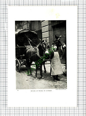 A & N CSL Auxiliary London - c.1930s Print