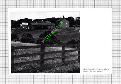 Glebe Farm West Boldon Tyneside - Cutting