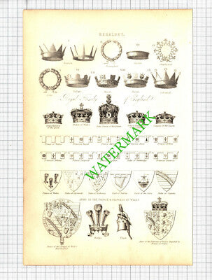 Heraldry Royal Family Of England - 19th Century Book Print