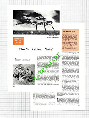 Yorkshire Naturalists Union YNU Bertha Lonsdale - 1966 Article