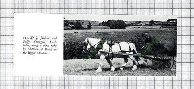 Mr J Jackson Stonegate Lealholm - 1970s Small Cutting