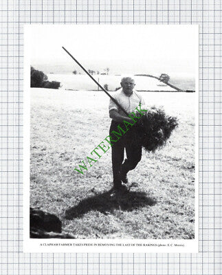 Clapham Farmer Yorkshire - Cutting