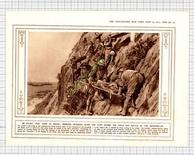 Suvla Bay Battle Dardanelles World War One RAMC Stretcher - 1915 Cutting / Print