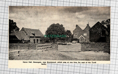 C897) Heron Hall Herongate Tyrell Family - 1972 Cutting