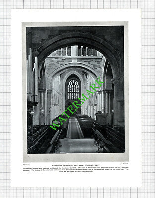 Wimborne Minster - 1920's Cutting / Print