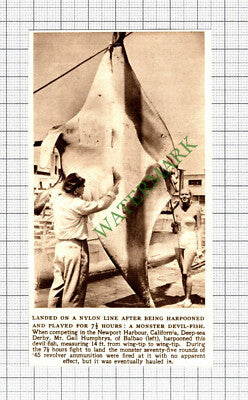 C8147) Mr Gail Humphreys Balbao Newport Harbour California -1952 SMALL Cutting