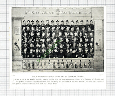 3rd Grenadier Guards - c.1900 Cutting / Print
