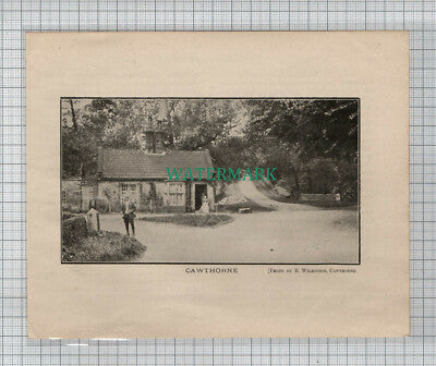C4460) Cawthorne Yorkshire - 1907 Cutting