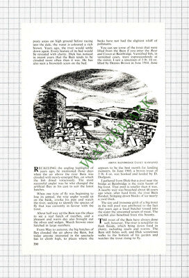 Dick Chapman River Bain Bainbridge - 1977 Article