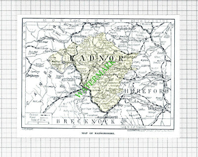 Map of Radnorshire - 1920's SMALL Cutting