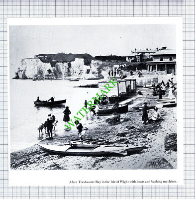 Freshwater Bay Isle Of Wight - Cutting