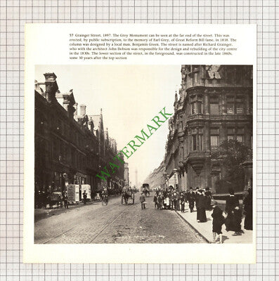 9876) Grainger Street Newcastle - Cutting