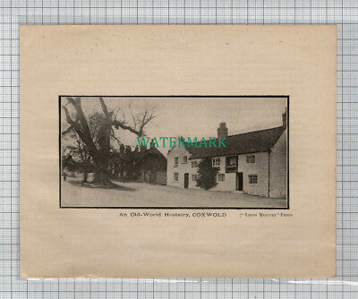 C4452) Coxwold Yorkshire - 1907 Cutting