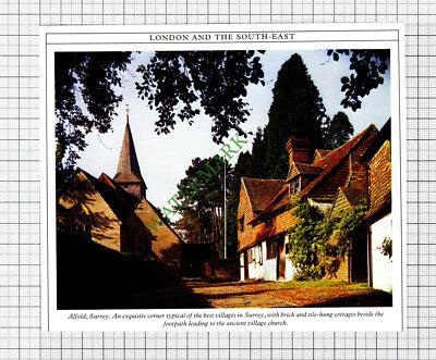 C8040) Alfold Surrey - 1980s Cutting