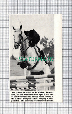 C5278) Ann Moore On April Love Horse Jumping St Gallen - 1971 Cutting