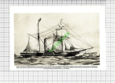 Irish Cross Channel Packet ROYAL WILLIAM Boat- 1930's Cutting