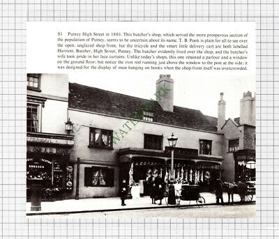 C4881) Putney High Street T B Pook Butcher - Cutting