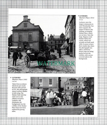 (8761) Leyburn Yorkshire - Cutting