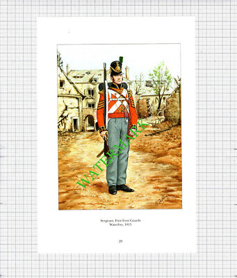 Sergeant First Foot Guards Waterloo - c.1990's Print