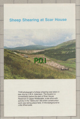C1002) Sheep Shearing At Scar House Upper Nidderdale - 1988 Cutting