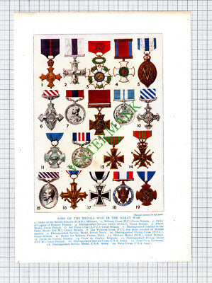 Great War Medals World War One WW1 - c.1920s PRINT