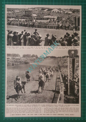 (X370) Horse MY LOVE Aga Khan Leon Volterra Derby Race - 1948 Clip