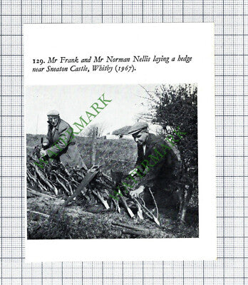 Sneaton Castle Whitby Mr Frank and Mr Norman Nellis - 1970s Cutting