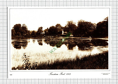 Frensham Pond - c.1990s Print