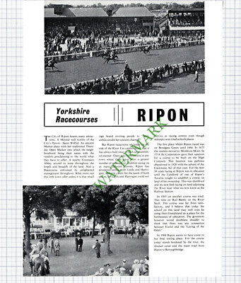 9686) Betrand Mather Author / Ripon Racecourse - 1967 Article