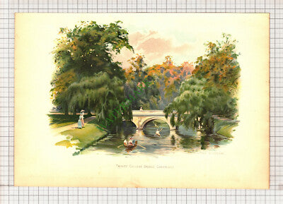 9861) TRINITY COLLEGE BRIDGE Cambridge - c.1900 Print