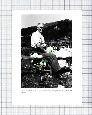Keld Yorkshire Farmer - Cutting