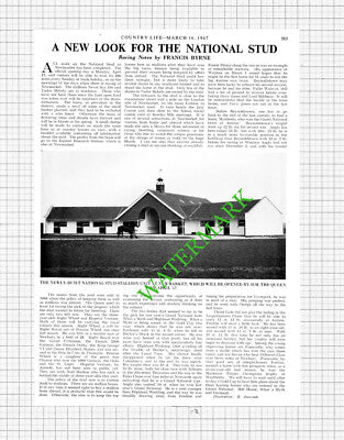 National Stud Newmarket - 1967 Article