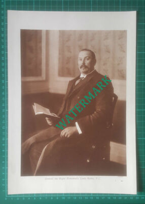X831) General Louis Botha World War One - 1916 Book Print