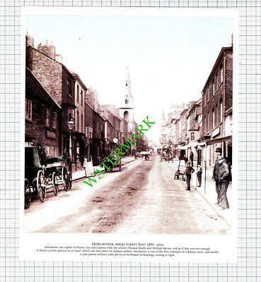 Dorchester Dorset - Cutting