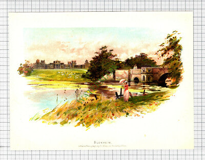 9821) Blenheim - c.1900 Print