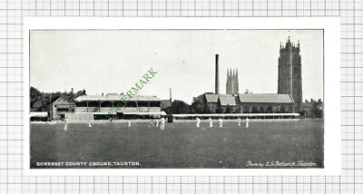 Somerset County Cricket Ground Taunton - c.1895 Cutting / Print