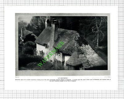 Selworthy Somerset - 1920's Cutting / Print