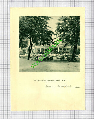 Kettlewell / Valley Gardens Harrogate - c.1930s Book Print
