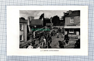 C4493) Devon Cattle Market c.1939 Clip