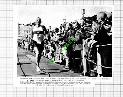 W Hayward South African Runner London To Brighton Race - 1953 Cutting