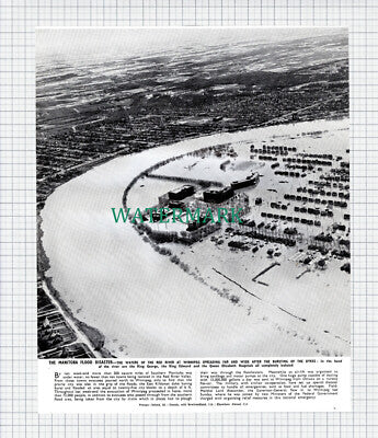The Manitoba Flood Disaster Winnipeg Canada - 1950 Cutting