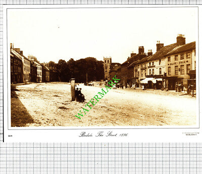Bedale Yorkshire Black Swan - Print