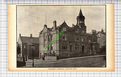 Children's Hospital Western Bank Sheffield - 1905 Small Cutting