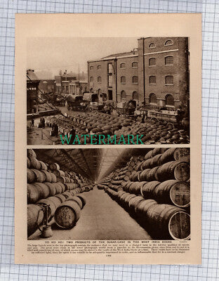 (8763) West India Docks London - c.1925 Book Print